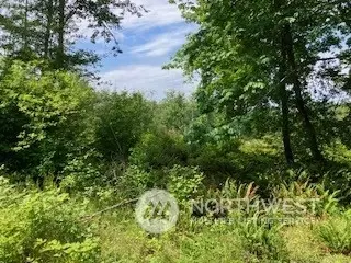 0 Cleveland St, Port Hadlock, WA 98339
