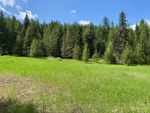 0 W Fork Rd, Wauconda, WA 98859