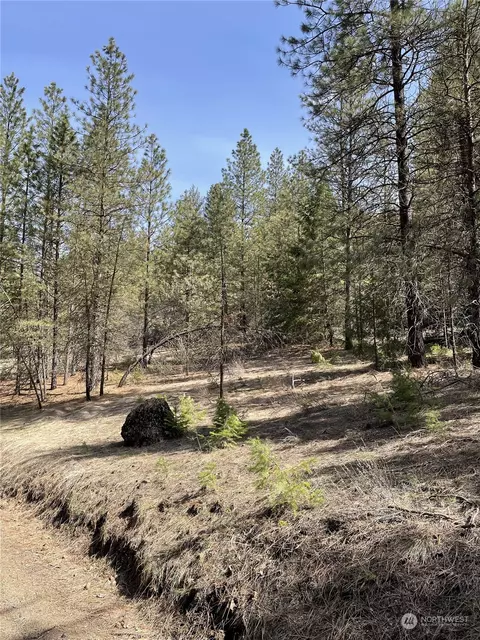 0 Harker Canyon Rd, Davenport, WA 99122
