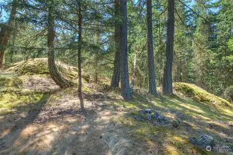 525 Spring Point Rd, Eastsound, WA 98245 photo 34