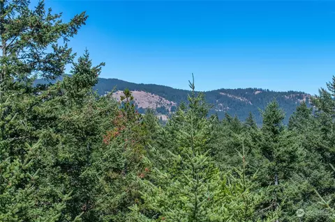 525 Spring Point Rd, Eastsound, WA 98245 photo 37