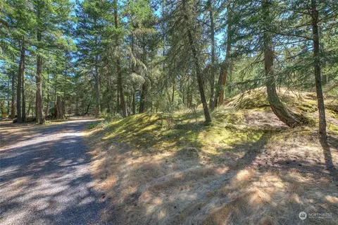 525 Spring Point Rd, Eastsound, WA 98245 photo 35