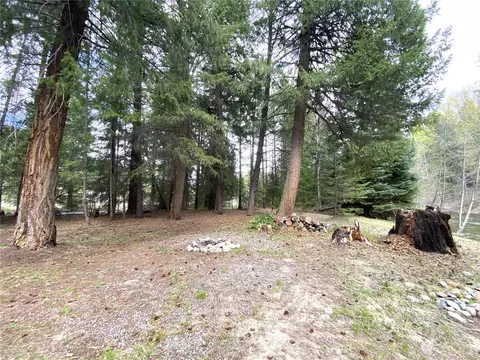 1043 Twisp River Rd, Twisp, WA 98856 photo 39