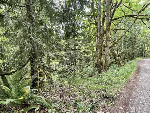 0 196th Ave E, Orting, WA 98360 photo 5
