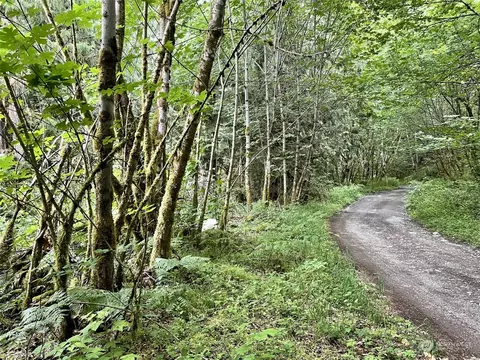 0 196th Ave E, Orting, WA 98360 photo 7