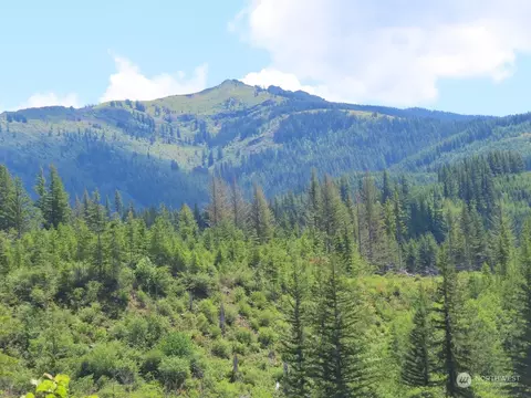 0 L-1100 Rd, Yacolt, WA 98675
