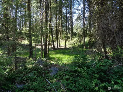 3525 Tbd Summit Lake Rd, Tonasket, WA 98855