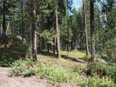 29 Liberty Ln, Winthrop, WA 98862