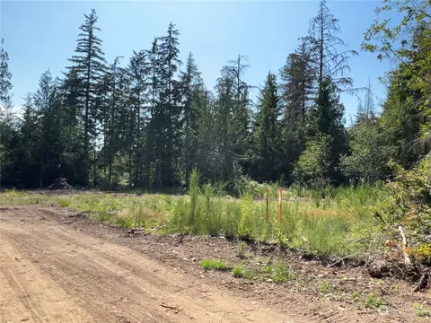 3 E Wild Grape Way, Grapeview, WA 98546 photo 5