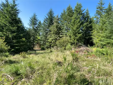 3 E Wild Grape Way, Grapeview, WA 98546 photo 2