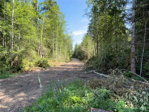 4 E Wild Grape Way, Grapeview, WA 98546 photo 5