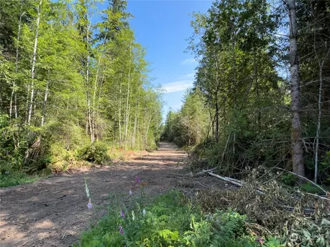 4 E Wild Grape Way, Grapeview, WA 98546 photo 6