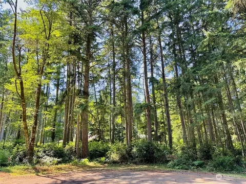 11720 112th Ave, Anderson Island, WA 98303