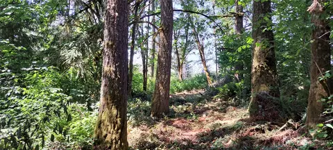 0 Loop Lot 1 Rd, Centralia, WA 98531