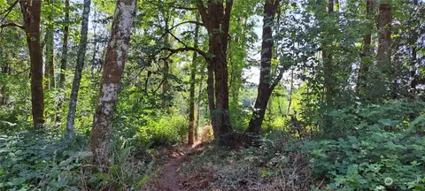 0 Loop Lot 2 Rd, Centralia, WA 98531