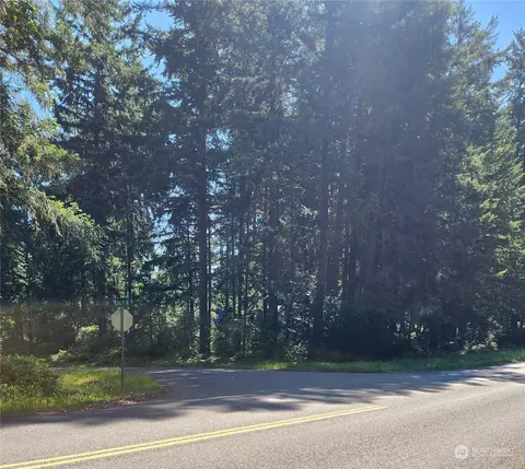 10401 Lake Josephine Blvd, Anderson Island, WA 98303
