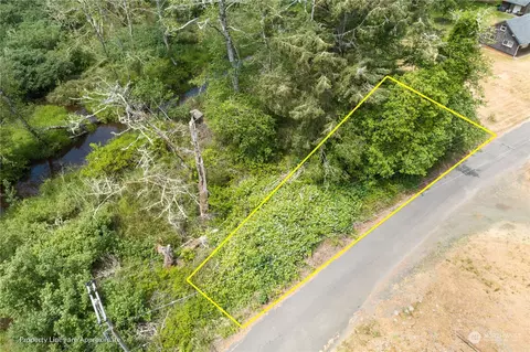29 Alexson Rd, Grayland, WA 98547