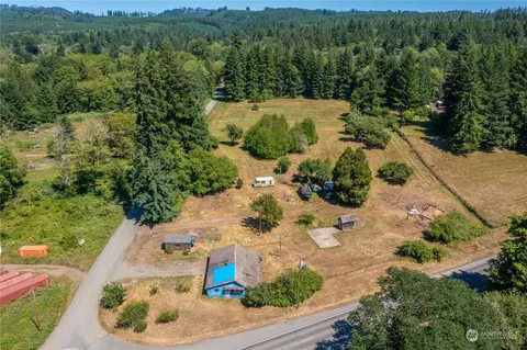 4 Downey Ln, Oakville, WA 98568