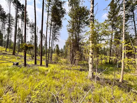 0 Lot 2 Star Vista Dr, Republic, WA 99166