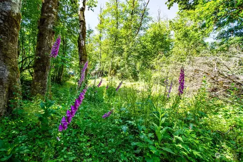 9834 351st Ave SE, Snoqualmie, WA 98065
