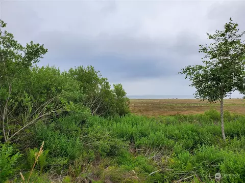 642 NE Duck Lake Dr, Ocean Shores, WA 98569