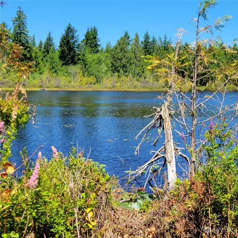 0 W Nn W Reeves Hill Dr, Shelton, WA 98584