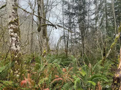 12 X Cedarwood Dr, Elma, WA 98541