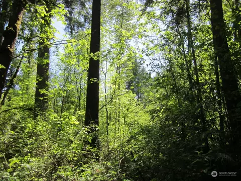 20633 SE 388th St, Enumclaw, WA 98022 photo 4