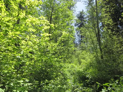 20633 SE 388th St, Enumclaw, WA 98022