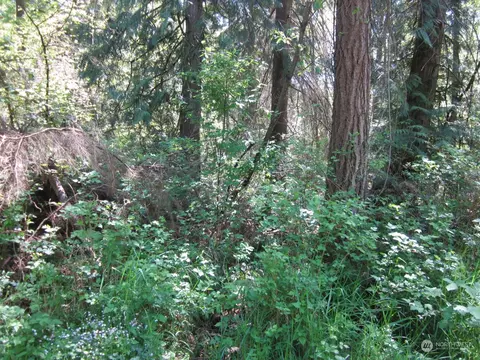 20633 SE 388th St, Enumclaw, WA 98022 photo 6