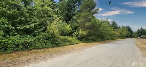 0 Tract 3 T Ln, Ocean Park, WA 98640