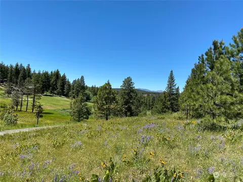 360 Lot 8 Forest Grove Way, Cle Elum, WA 98922