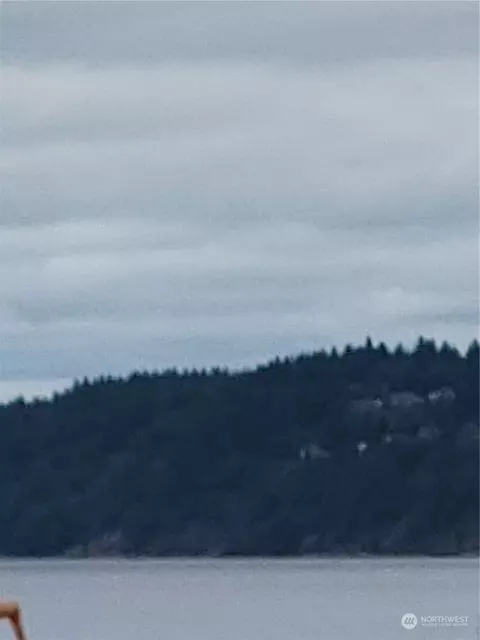 11714 Mill Pl, Anderson Island, WA 98303
