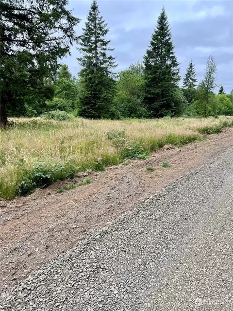 113 Beck Rd, Onalaska, WA 98570 photo 6