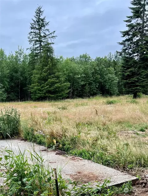 113 Beck Rd, Onalaska, WA 98570 photo 3