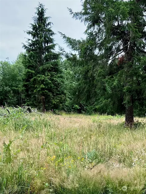 113 Beck Rd, Onalaska, WA 98570 photo 2
