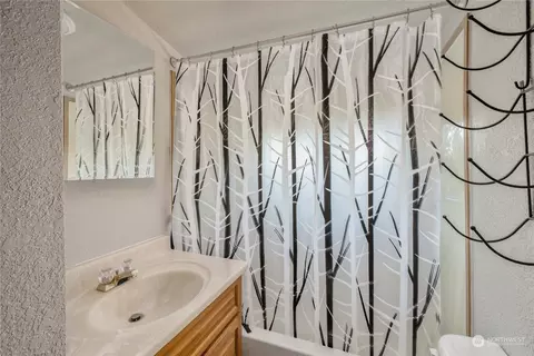 1202 276th St E, Spanaway, WA 98387 photo 38