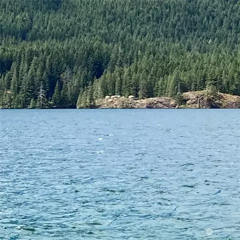 5 Ws1 Blk 3 #LOT 5b, Hoodsport, WA 98548