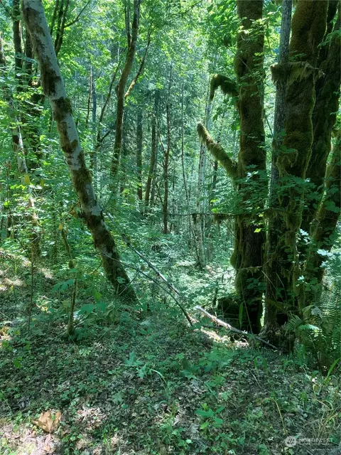11 Non Assigned, Hoodsport, WA 98548