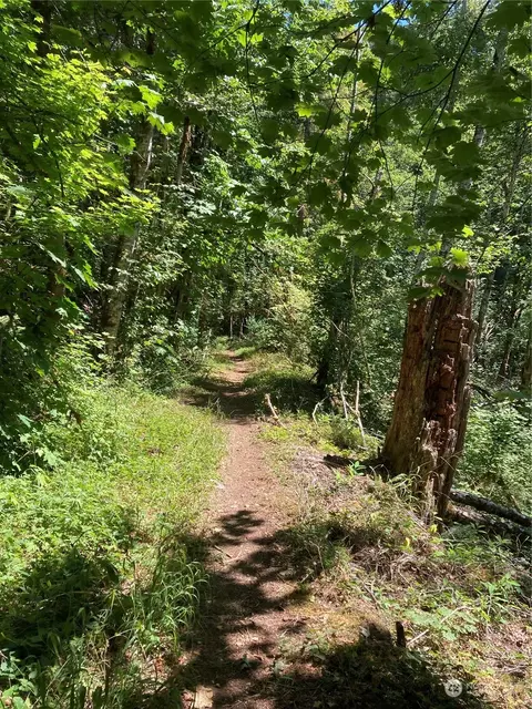 111 Non Assigned, Hoodsport, WA 98548