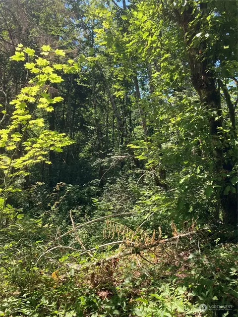 1111 Non Assigned, Hoodsport, WA 98548