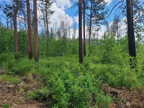 89 Whiterock Pl, Okanogan, WA 98840