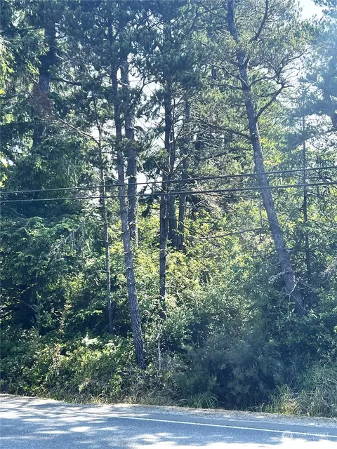 280 Vernon Ave, Ocean Park, WA 98640