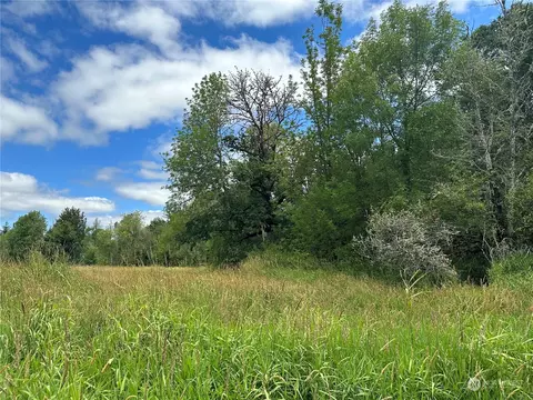 164 Nowhere Ln, Toledo, WA 98591