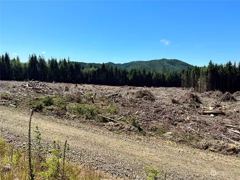 0 Government Rd, Naselle, WA 98638