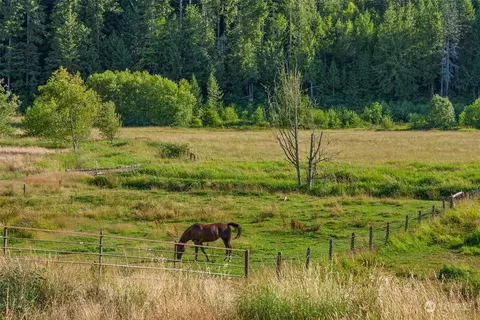View/Area - 434 Cispus Rd, Randle, WA 98377 photo 4 of 9