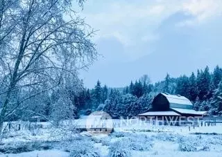 Other - 434 Cispus Rd, Randle, WA 98377 photo 5 of 6