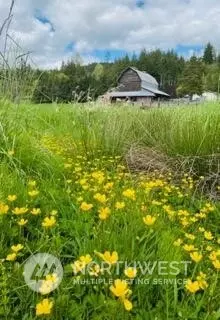 Exterior - 434 Cispus Rd, Randle, WA 98377 photo 8 of 9