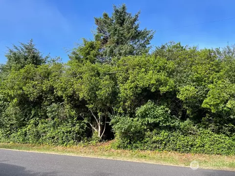 389 S Razor Clam Dr SW, Ocean Shores, WA 98569