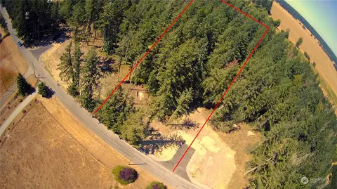 1321 276th St E, Spanaway, WA 98387 photo 4